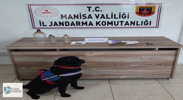 Uyuşturucu Madde Aramasına Köpeklerde Katıldı