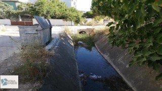 Şehir İçinden Geçen Dereler Pislik Saçıyor