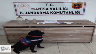 Uyuşturucu Madde Aramasına Köpeklerde Katıldı