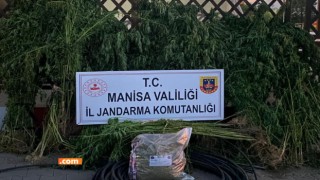 Ispanak mı Ekiyorsunuz Jandarma Yakalar