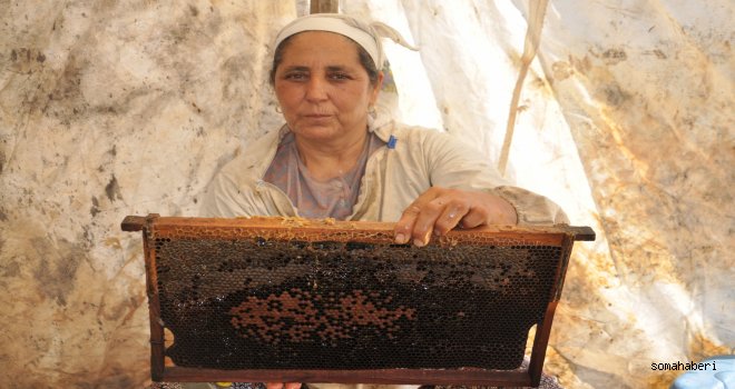 Biz Balı Ucuz Üretiyoruz 