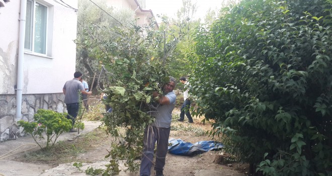 85 Evleri Sonunda Hatırladınız