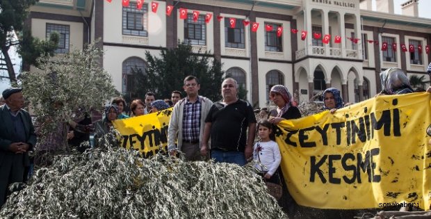 Manisa Valiliği önünde zeytinlik eylemi