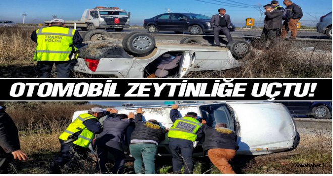 UŞTU UŞTU OTOMOBİL ZEYTİLİĞE UÇTU